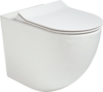 Inspire Rimless Back To Wall Wc & Sequence Slim Soft Close Seat