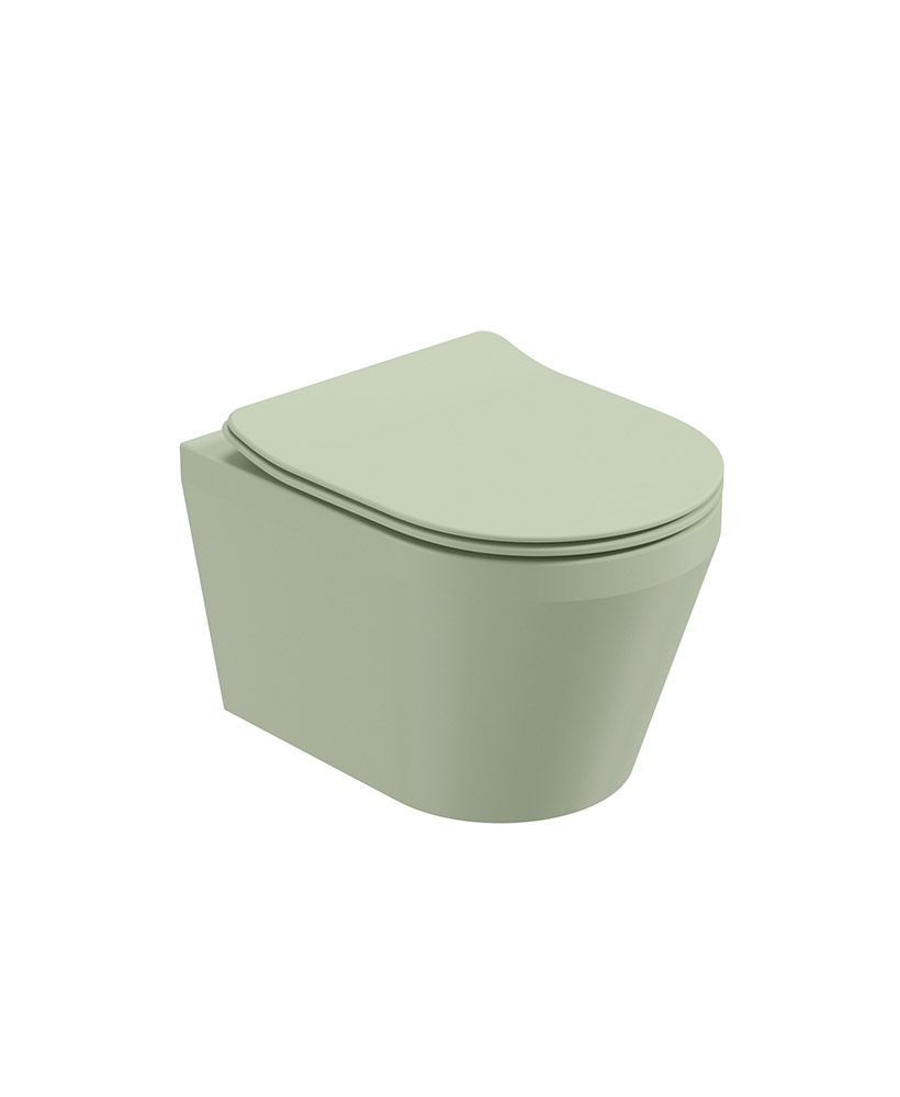 Living Wall Hung Wc Parkland & Soft Close Seat
