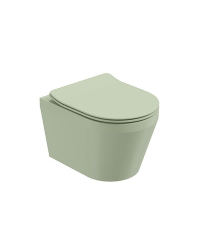 Living Wall Hung Wc Parkland & Soft Close Seat
