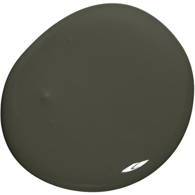 Colourtrend Ceramic Matt 1L Bridle Path