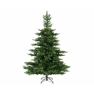 Grandis Fir Tree - 8ft