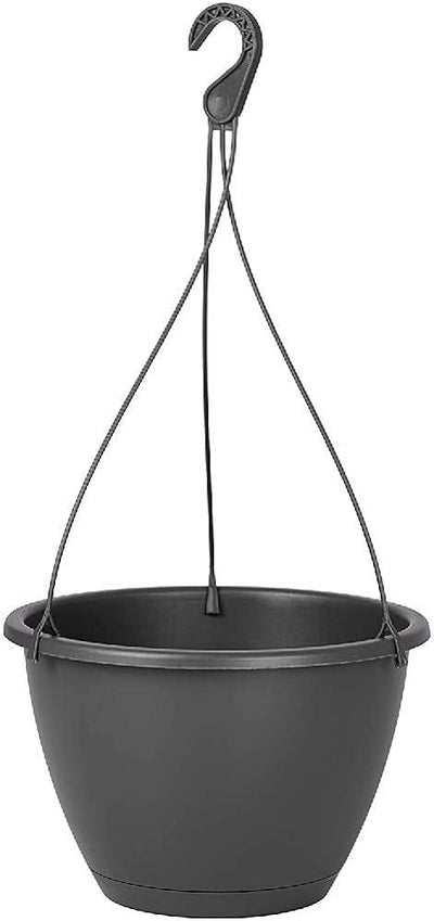 Algarve Hanging Basket 25cm Anthrice
