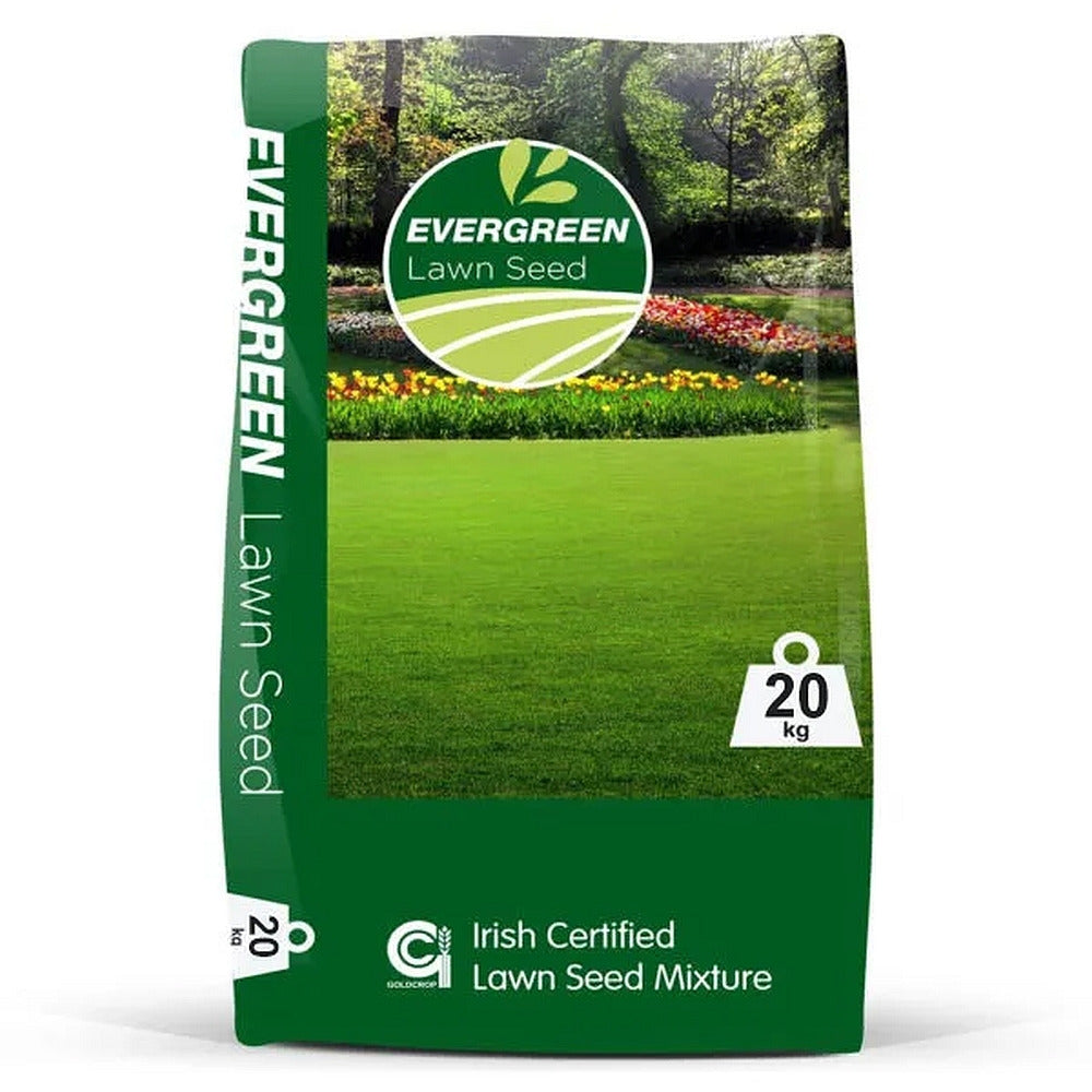 Evergreen No 2 Lawn Seed