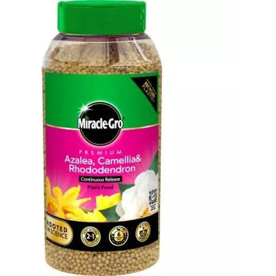 Miracle-Gro Azalea, camellia & rhododendron continuous release plant food shaker jar 900g
