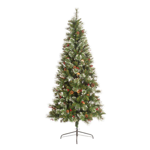 Ispwich Pine Tree - 7ft